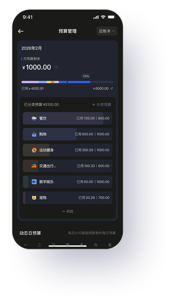 Kapi 预算管理界面